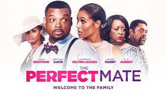 The Perfect Mate (2020)
