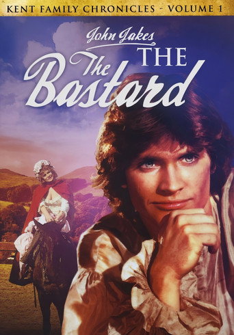 Poster 4