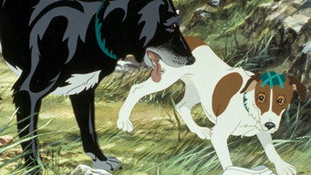 #10 The Plague Dogs