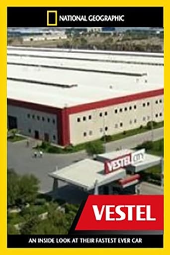 Megafactories: Vestel City