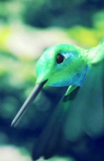 Humming Bird Minute