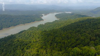 #9 Destination Wild: India