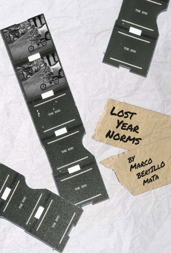 Lost Year Norms poster