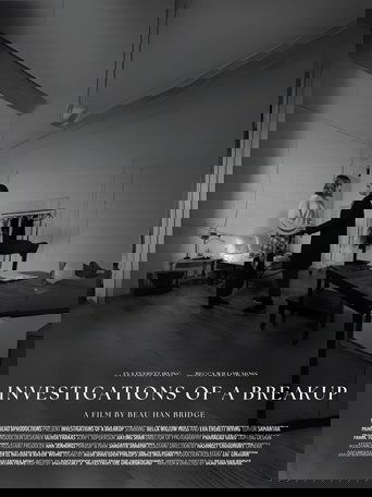 Investigations of a Breakup (2025)