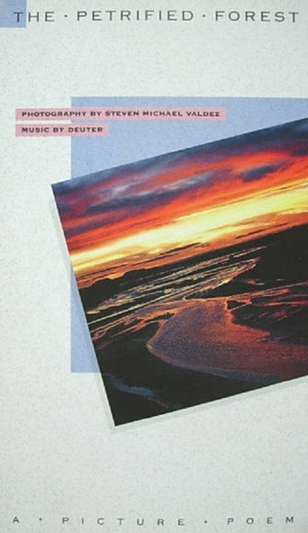 The Petrified Forest: A Picture Poem (1970)