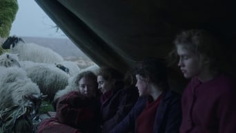 #8 Інакше ягня
