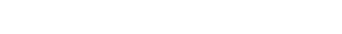 Public Disorder logo