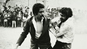 The Soil (1973)