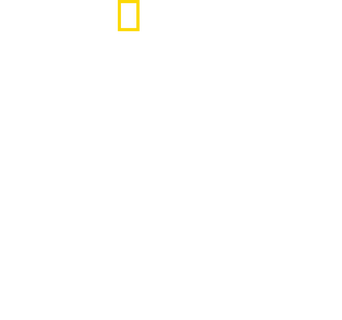 Inside the SS logo