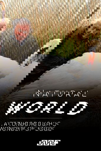 Attenborough's Wonder of Eggs (2018) Attenborough's Wonder of Eggs (2018)