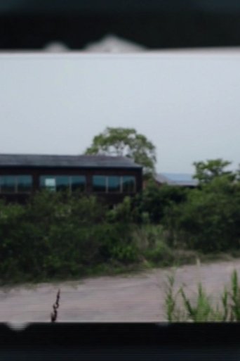 Photographic Survey (2013)