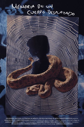 Memory of a Displaced Body (2024)