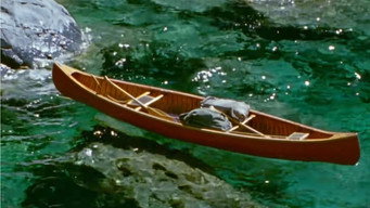 #6 Waterwalker