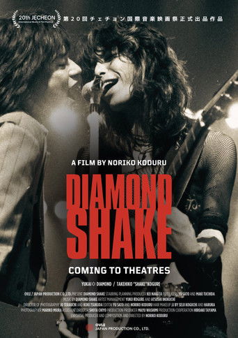 Diamond Shake (2024)