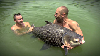 The Big Fish Off (2015- )
