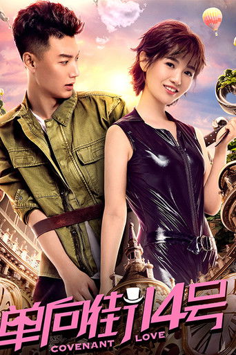 单向街14号 poster