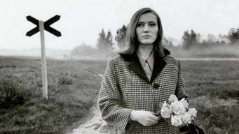 Pimedad aknad (1968-1969)
