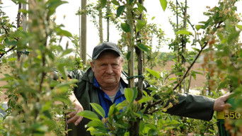 Episode 8 — Episode 8