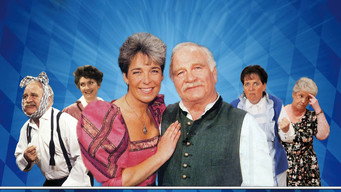 Peter Steiners Theaterstadl (1986- )