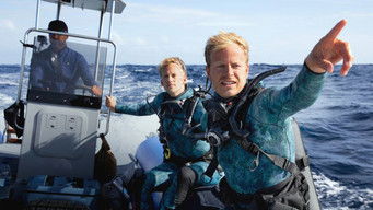 Galeria 1 - Delfines en primer plano con Bertie Gregory