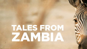 Tales from Zambia (2016- )