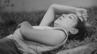 Курка на вітрі (1948)