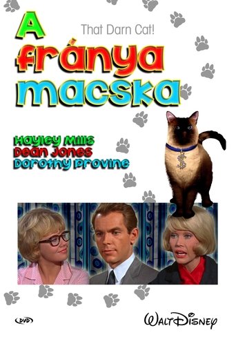 A fránya macska