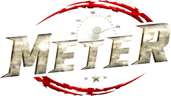 Meter logo