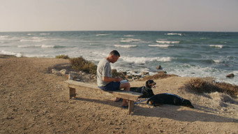 #6 Mediterranean Fever