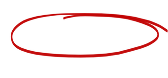 The Other Black Girl logo