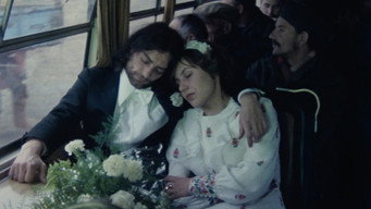 The Outsider (1982)