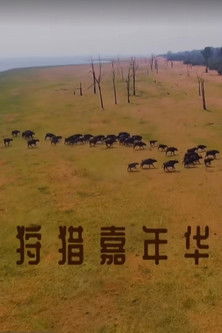 狩猎嘉年华 poster