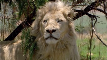 White Lion (2010)