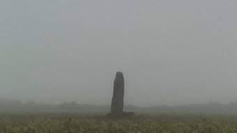 A Year in a Field (2023)