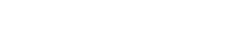 Snow Day logo