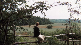 #70 Дзеркало