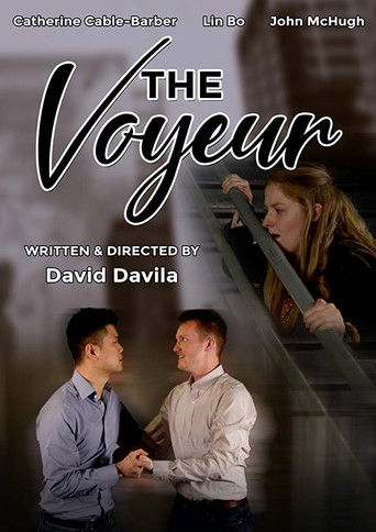 The Voyeur poster