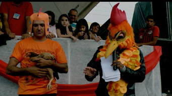 Torneios Brasil (2014- )