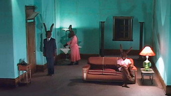 Rabbits media image