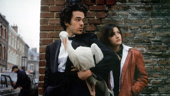 The Crazy Stranger (1997)