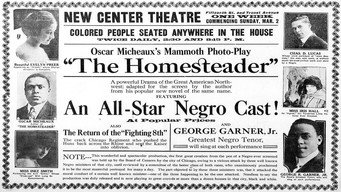 The Homesteader (1919)