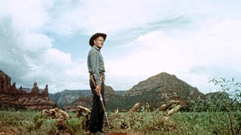 #8 Stranger on Horseback