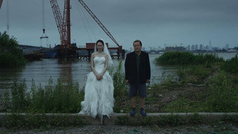 From Where We've Fallen (2017)