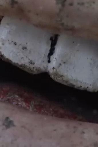 Floating Downstream on a Bed of Mercury poster