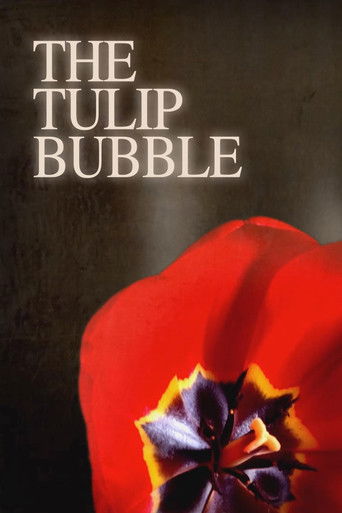 The Tulip Bubble poster