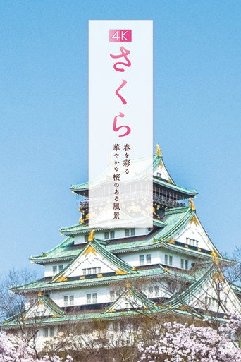 Sakura galeri 3