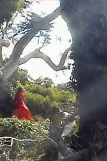 The Vernal Zone poster 2