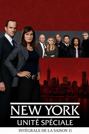 New York Unité Spéciale - S11 - Poster