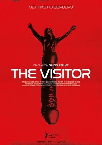 The Visitor