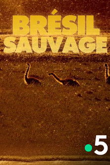 Brésil Sauvage - Avant le déluge poster